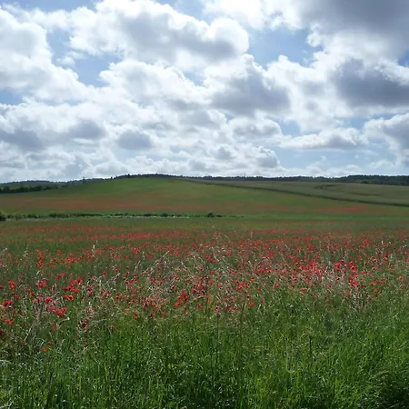 Lägenhet Noa-lee Oberuckersee