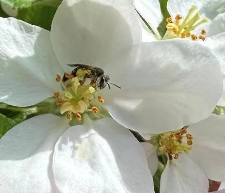 Noa-lee * Oberuckersee